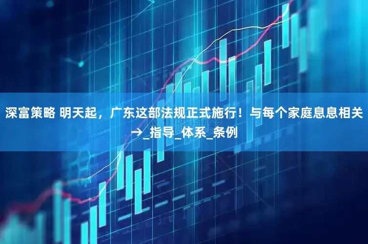 深富策略 明天起，广东这部法规正式施行！与每个家庭息息相关→_指导_体系_条例